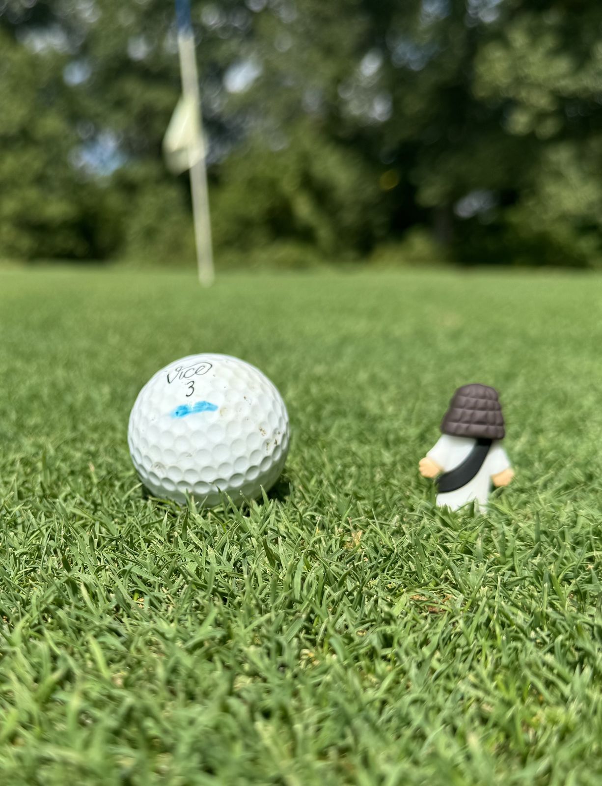 A golf ball on the putting green near the flag at a past Aid for Adonai event